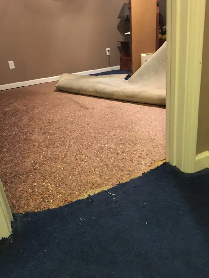 Carpet pad removal revealing water damage during Drying & Dehumidification in Mountain Park