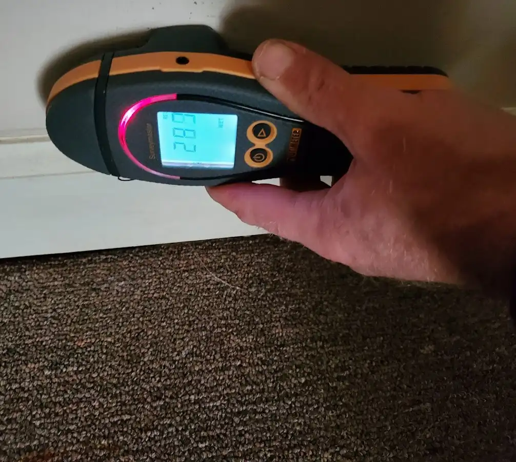 Moisture detection at baseboard during Mold Inspection & Testing in Mountain Park
